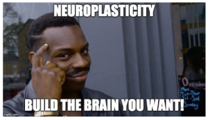 meme about neuroplasticity