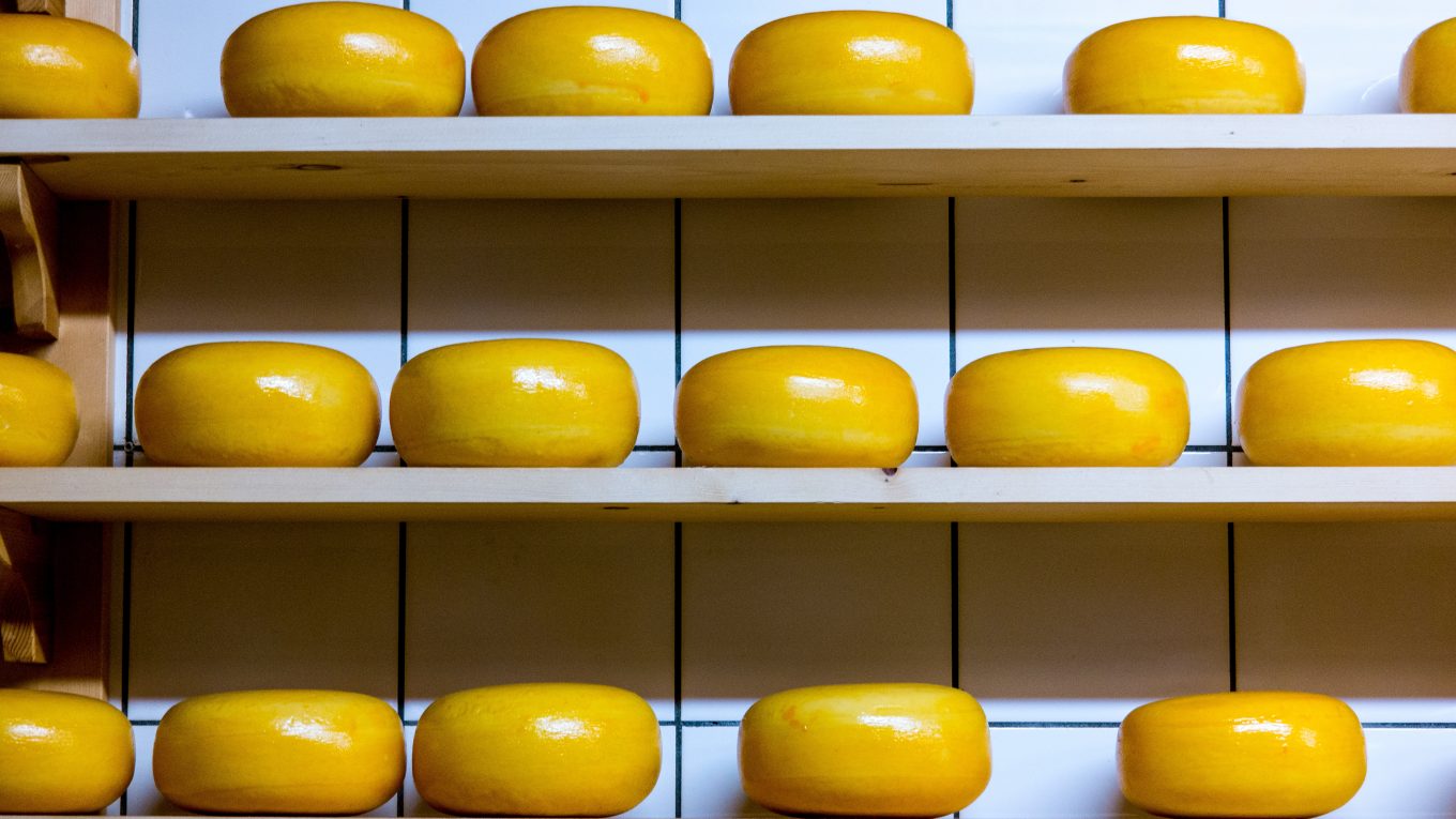 rows of round cheese on shelves