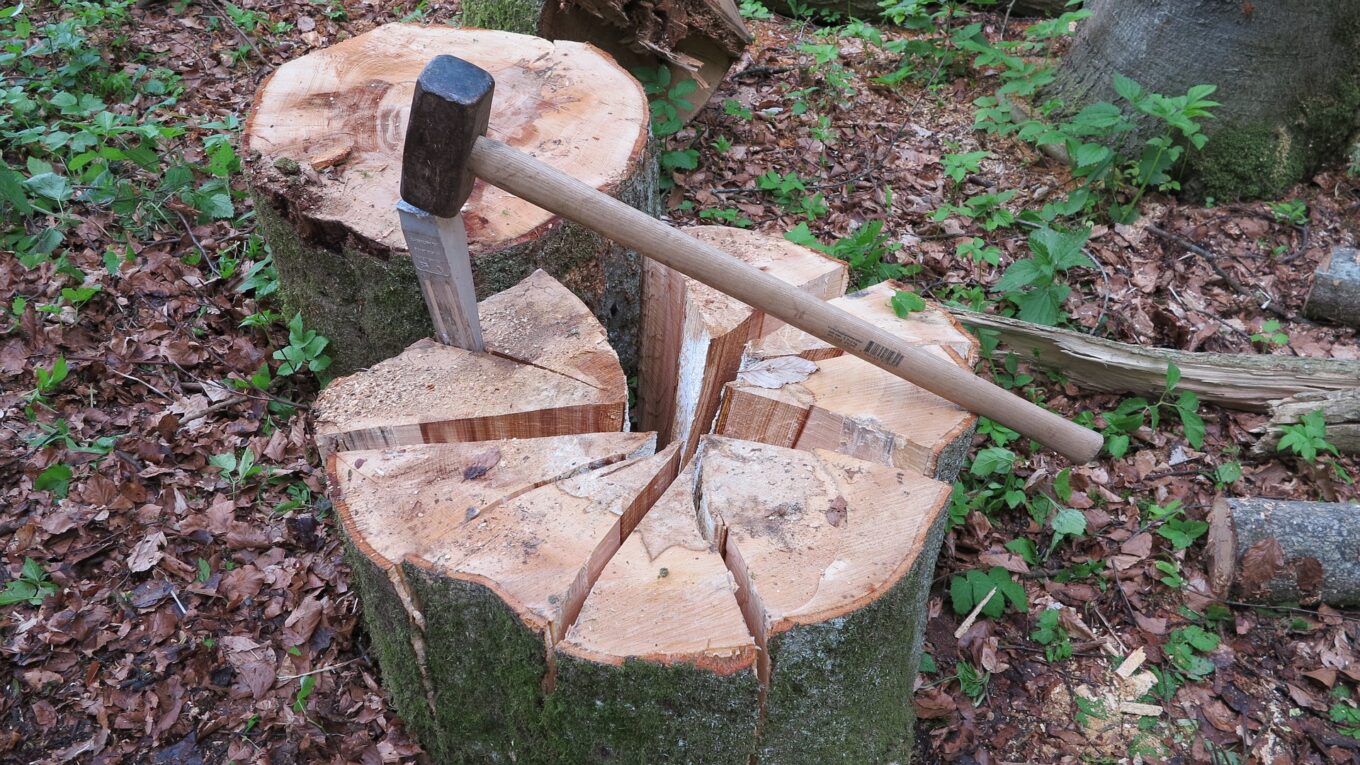 axe in tree log split into wedges
